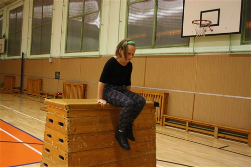 Obrázek v galerii